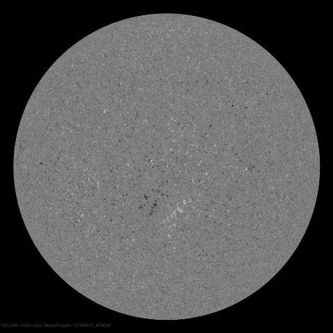 Image of Sun's magnetic field