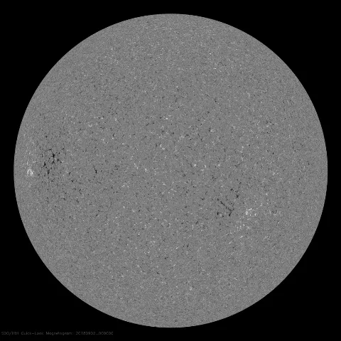 Image of Sun's magnetic field