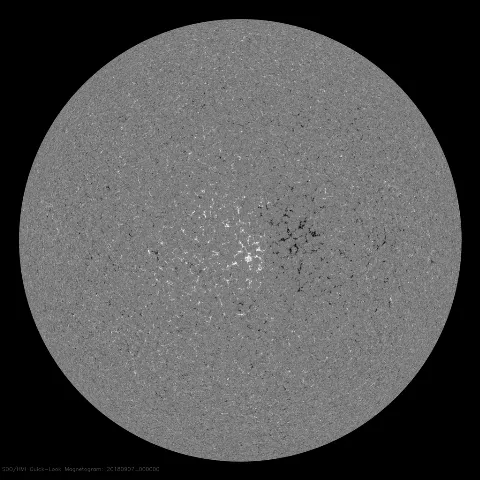 Image of Sun's magnetic field