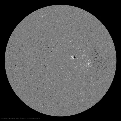 Image of Sun's magnetic field