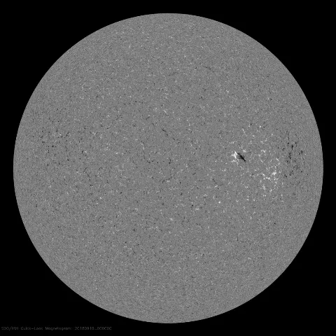 Image of Sun's magnetic field