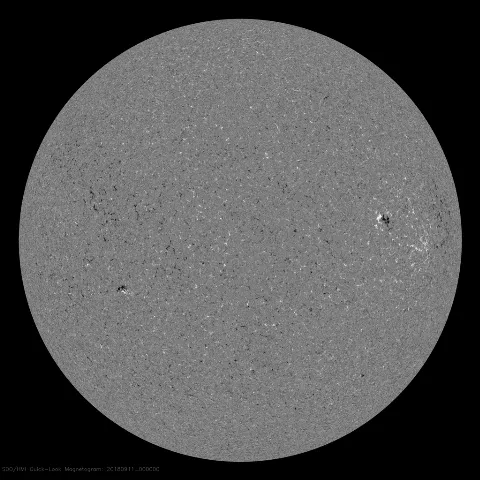 Image of Sun's magnetic field