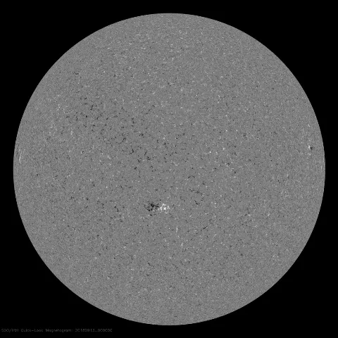 Image of Sun's magnetic field