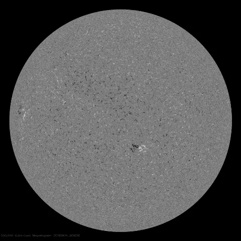 Image of Sun's magnetic field