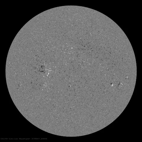 Image of Sun's magnetic field