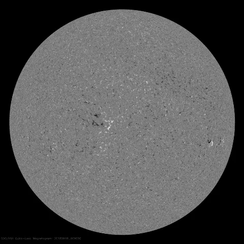 Image of Sun's magnetic field