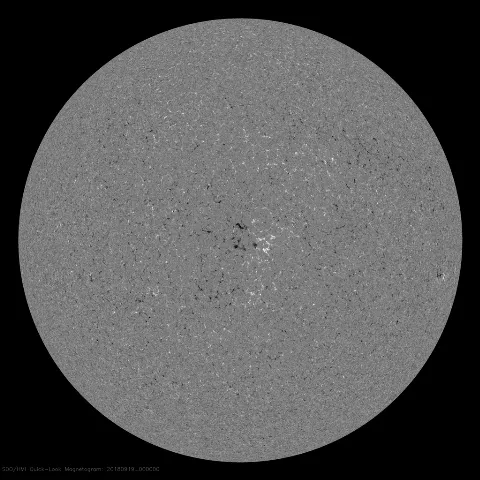 Image of Sun's magnetic field