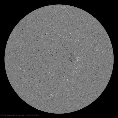 Image of Sun's magnetic field