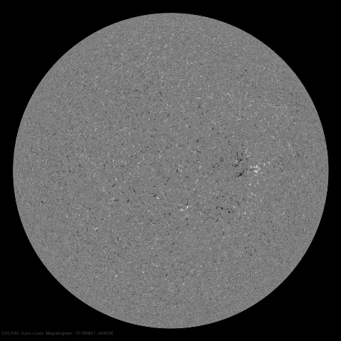 Image of Sun's magnetic field