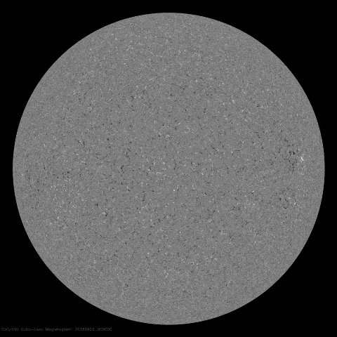 Image of Sun's magnetic field