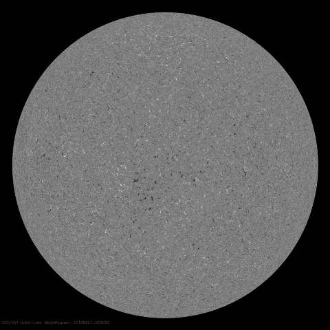 Image of Sun's magnetic field