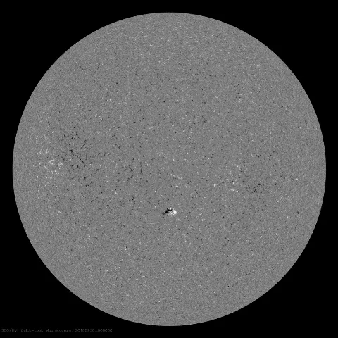 Image of Sun's magnetic field