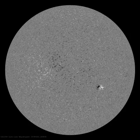 Image of Sun's magnetic field