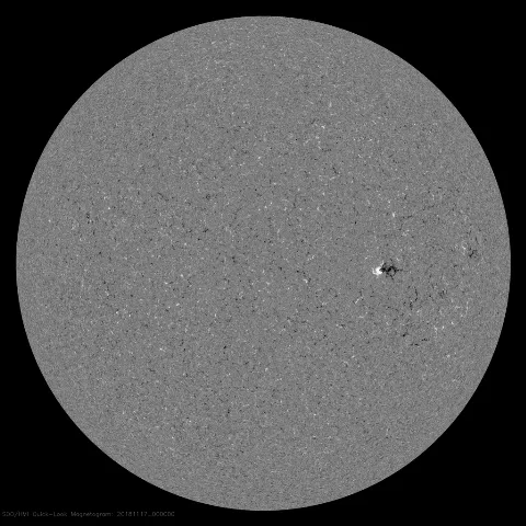 Image of Sun's magnetic field