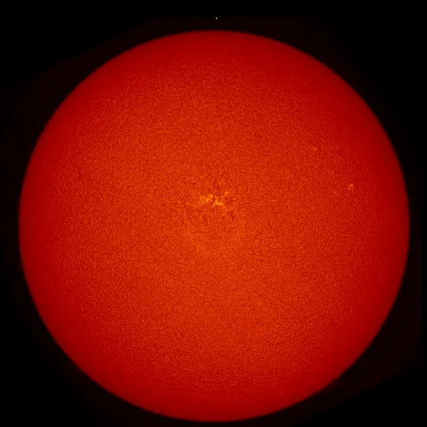 Image of Sun's chromosphere