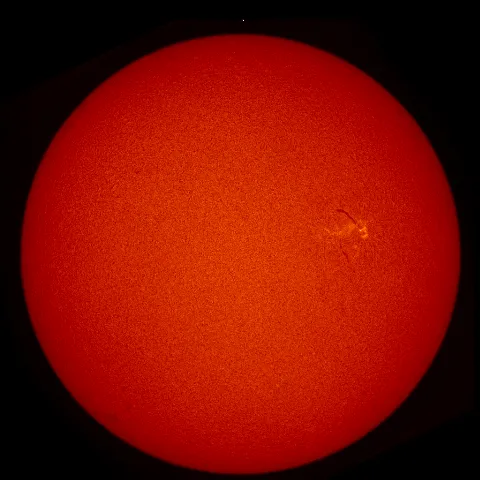 Image of Sun's chromosphere