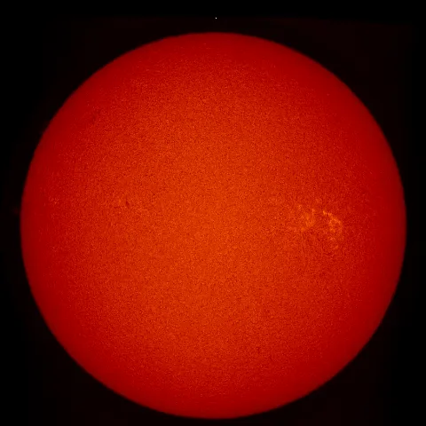 Image of Sun's chromosphere