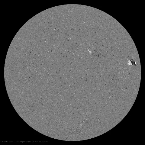 Image of Sun's magnetic field