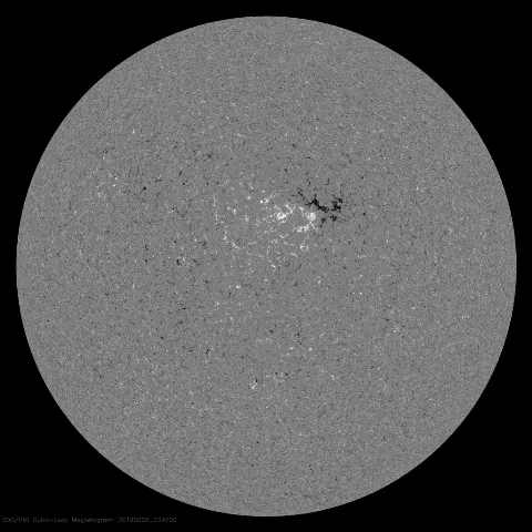 Image of Sun's magnetic field