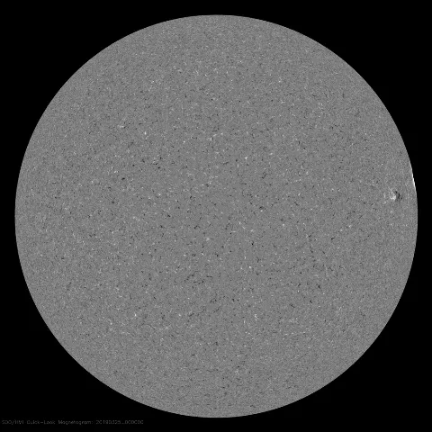 Image of Sun's magnetic field