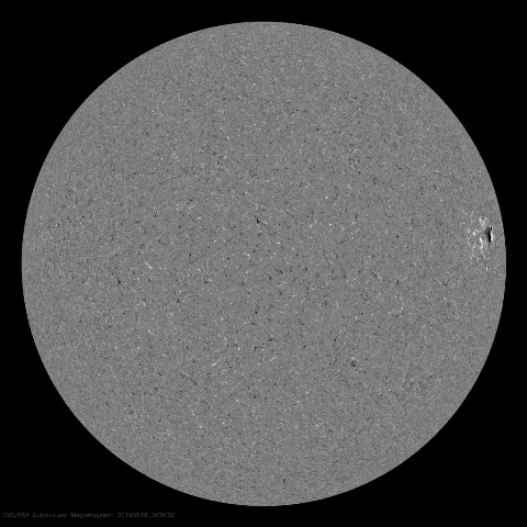 Image of Sun's magnetic field