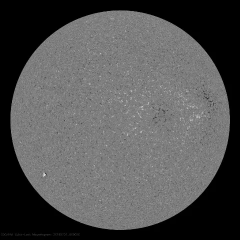 Image of Sun's magnetic field