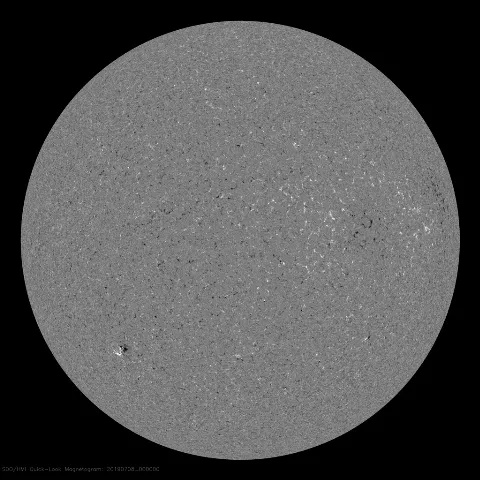 Image of Sun's magnetic field