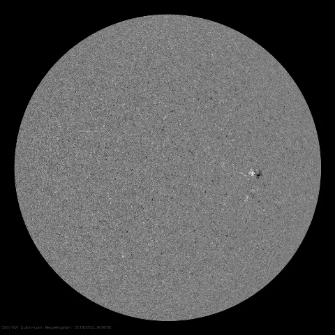 Image of Sun's magnetic field