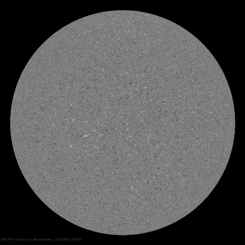 Image of Sun's magnetic field