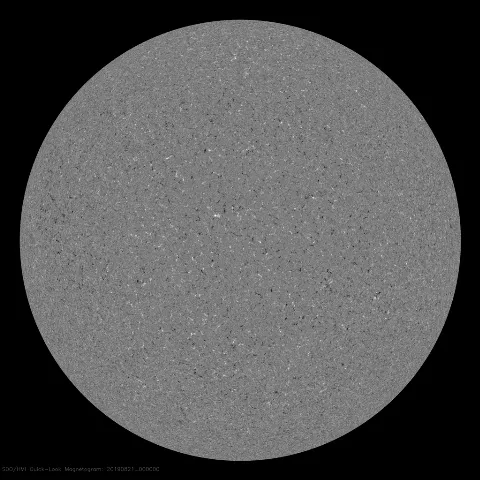 Image of Sun's magnetic field