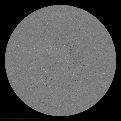 Image of Sun's magnetic field