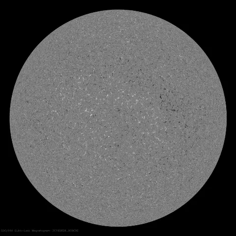 Image of Sun's magnetic field