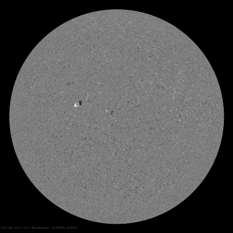 Image of Sun's magnetic field