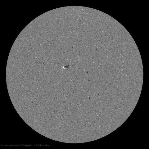 Image of Sun's magnetic field