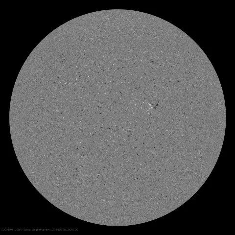 Image of Sun's magnetic field