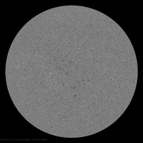 Image of Sun's magnetic field