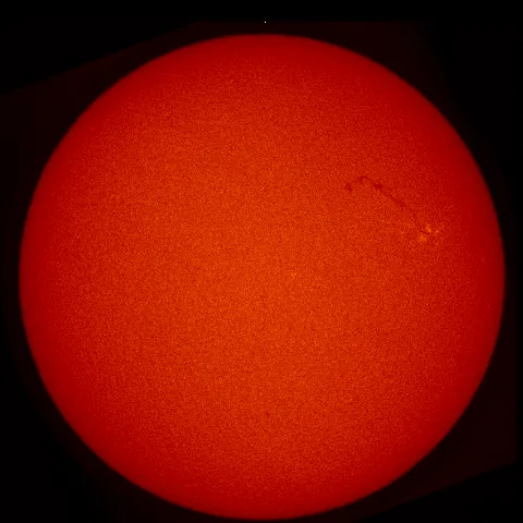 Image of Sun's chromosphere