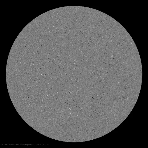 Image of Sun's magnetic field