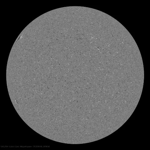 Image of Sun's magnetic field