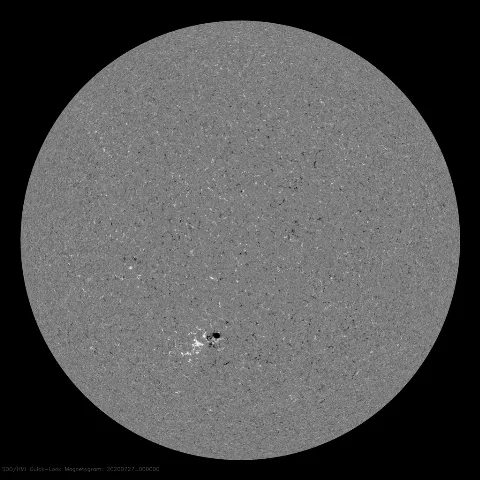 Image of Sun's magnetic field