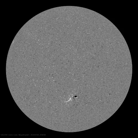 Image of Sun's magnetic field