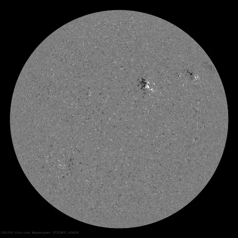 Image of Sun's magnetic field