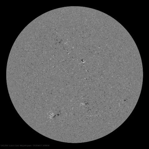 Image of Sun's magnetic field