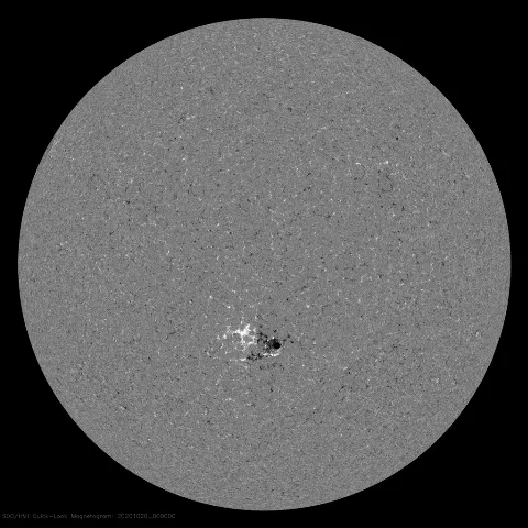 Image of Sun's magnetic field