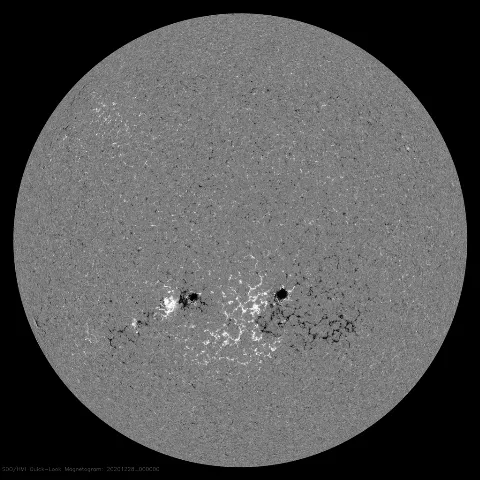 Image of Sun's magnetic field