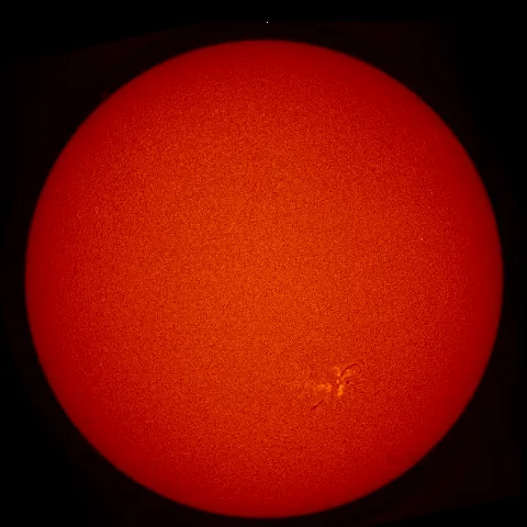 Image of Sun's chromosphere