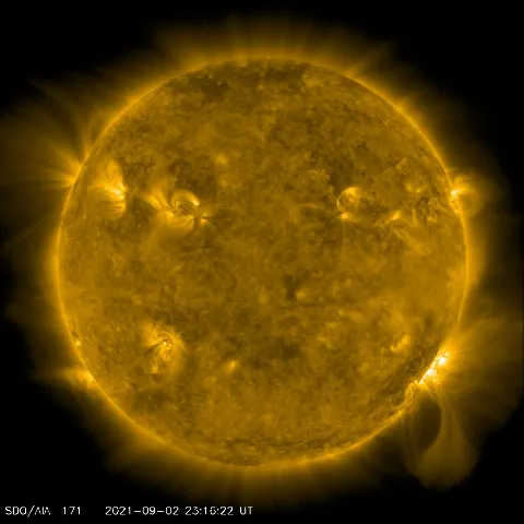 Image of Sun's corona