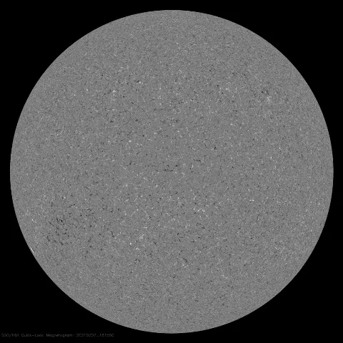 Image of Sun's magnetic field