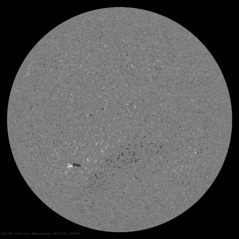 Image of Sun's magnetic field