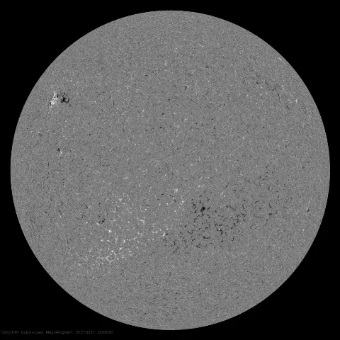 Image of Sun's magnetic field